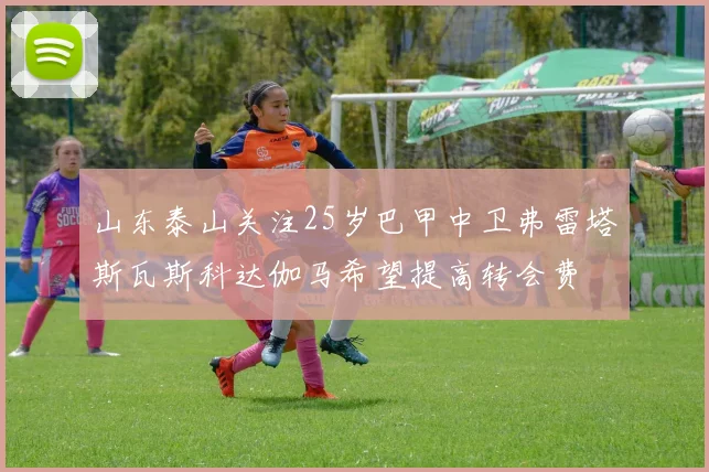 山东泰山关注25岁巴甲中卫弗雷塔斯瓦斯科达伽马希望提高转会费