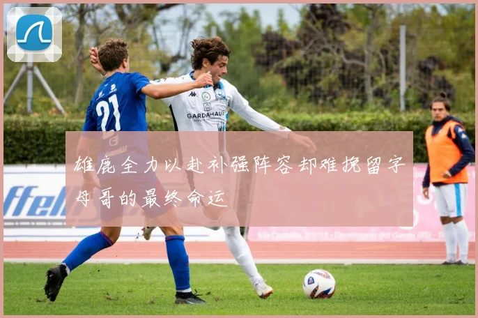 雄鹿全力以赴补强阵容却难挽留字母哥的最终命运