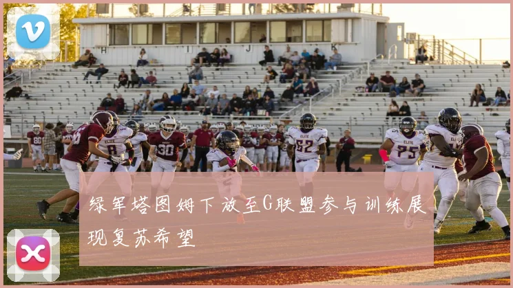 绿军塔图姆下放至G联盟参与训练展现复苏希望