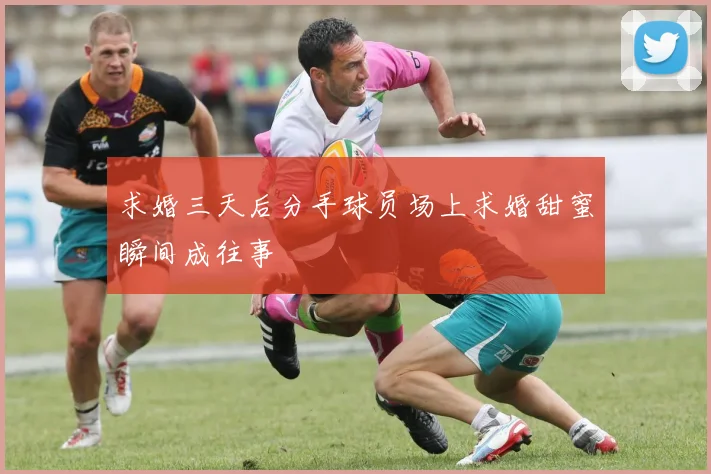 求婚三天后分手球员场上求婚甜蜜瞬间成往事
