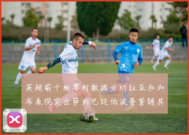 英超前十轮零封数据分析拉亚和加布表现突出萨利巴廷伯波普紧随其后