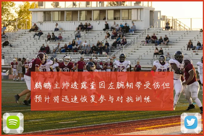 鹈鹕主帅透露奎因左腕韧带受伤但预计将迅速恢复参与对抗训练