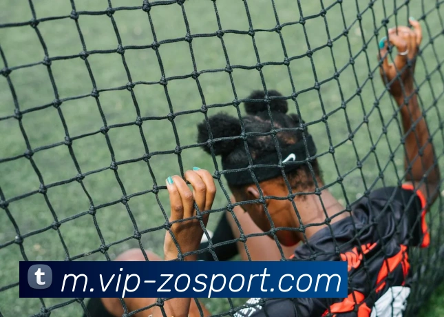 中欧体育品牌故事